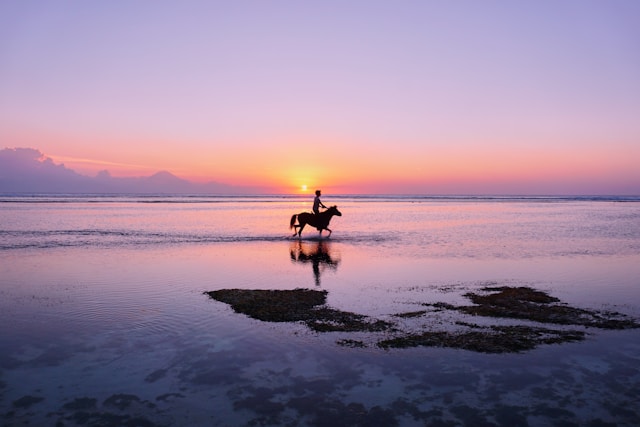 Horse riding at Natya Hotel Gili Trawangan